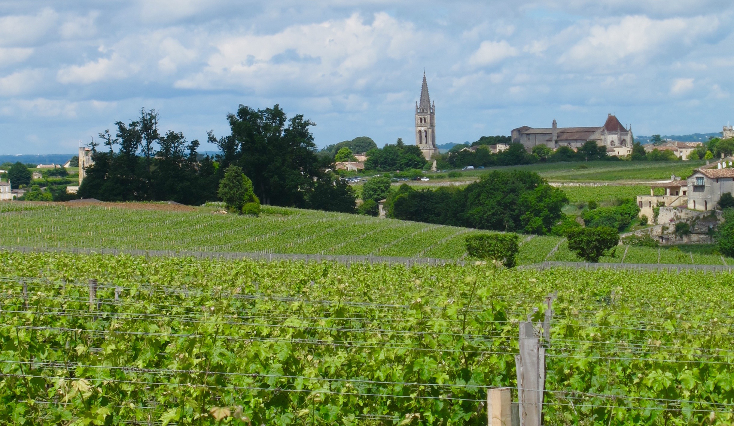 The village of Saint-Émilion sits on top of a hill and begs for your visit. Photo by Marla Norman.