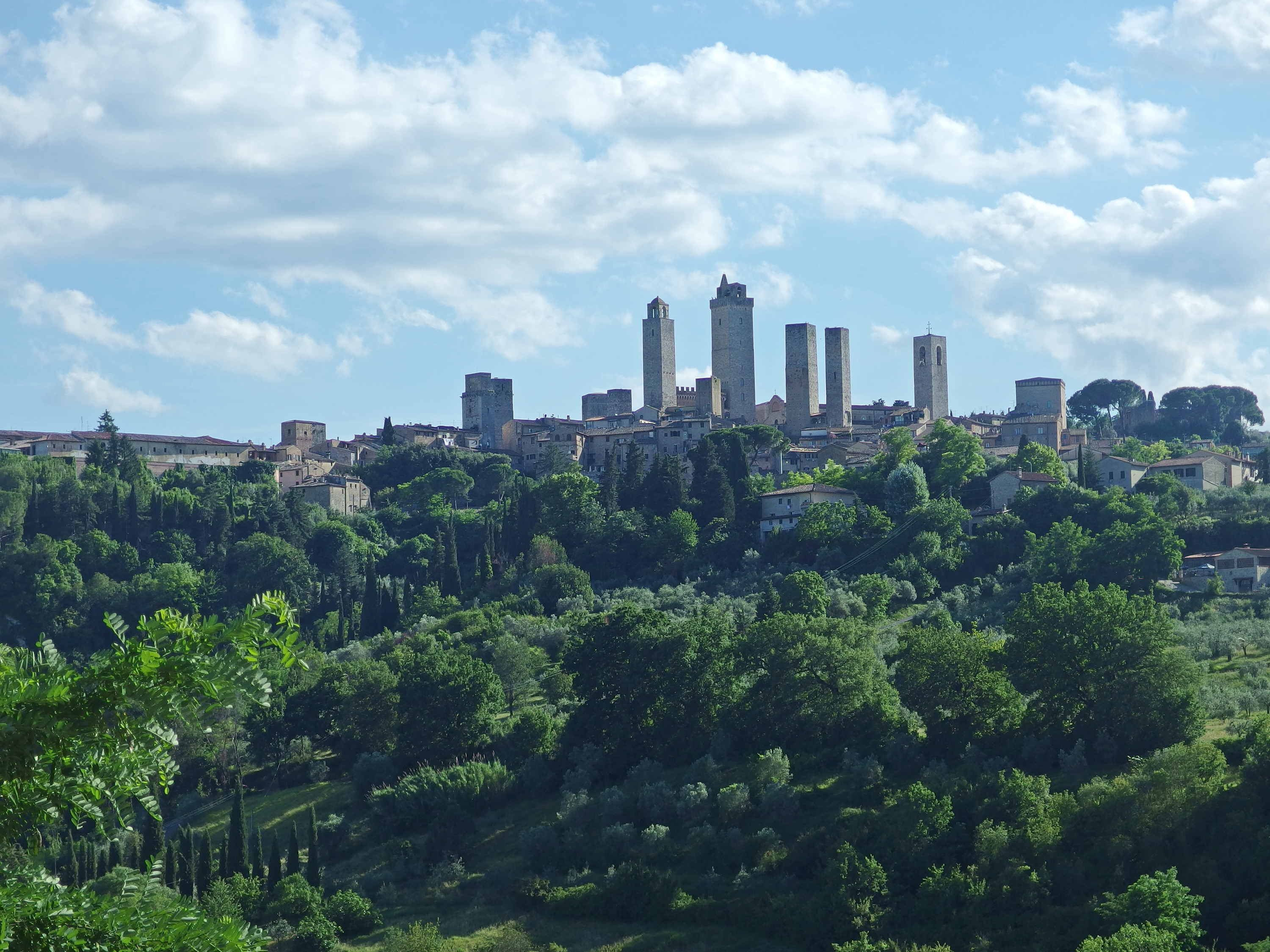 Another view of San Gimignano from the vineyards of Pietraserena
