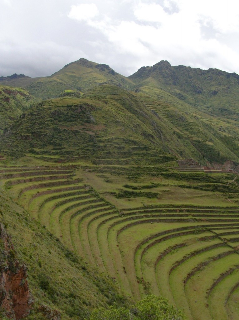 The Andes are still covered with terraces used for farming. Photo by Marla Norman