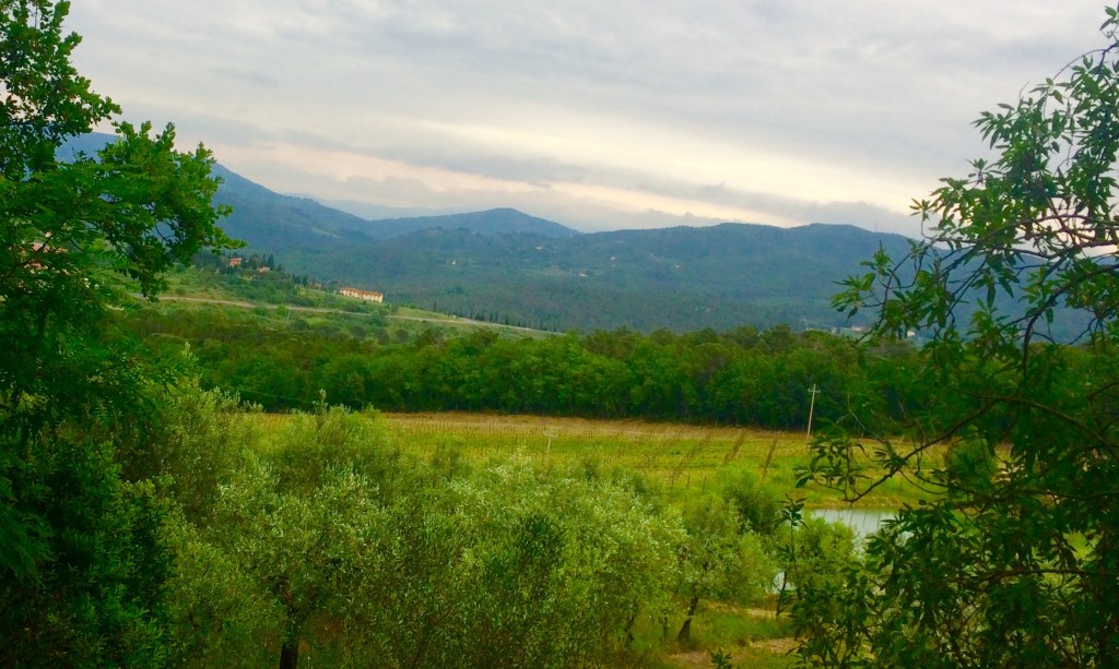Views from the Tenuta Poggio Ai Mandorli Estate, owned by the Trambusti family. Photo by Marla Norman.