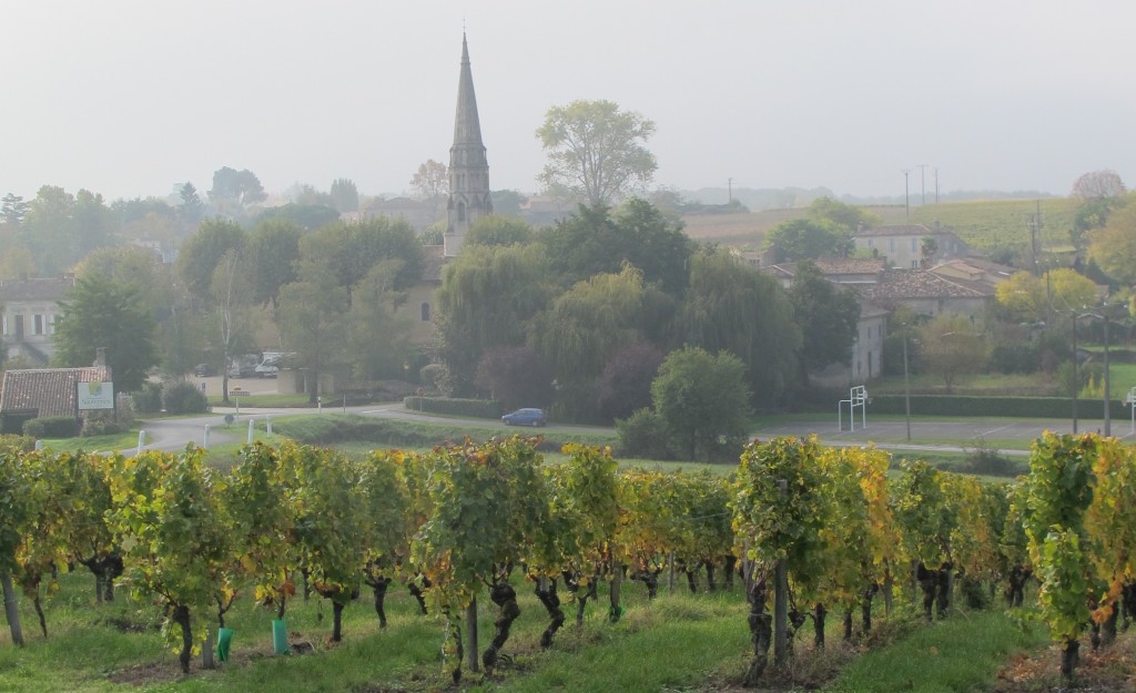 The famed Sauternes mist in the morning. Photo by Marla Norman.