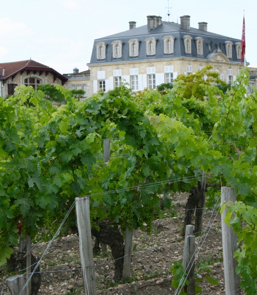 Natural vine-growing at Pontet Canet. Photo by Michel Thibault.