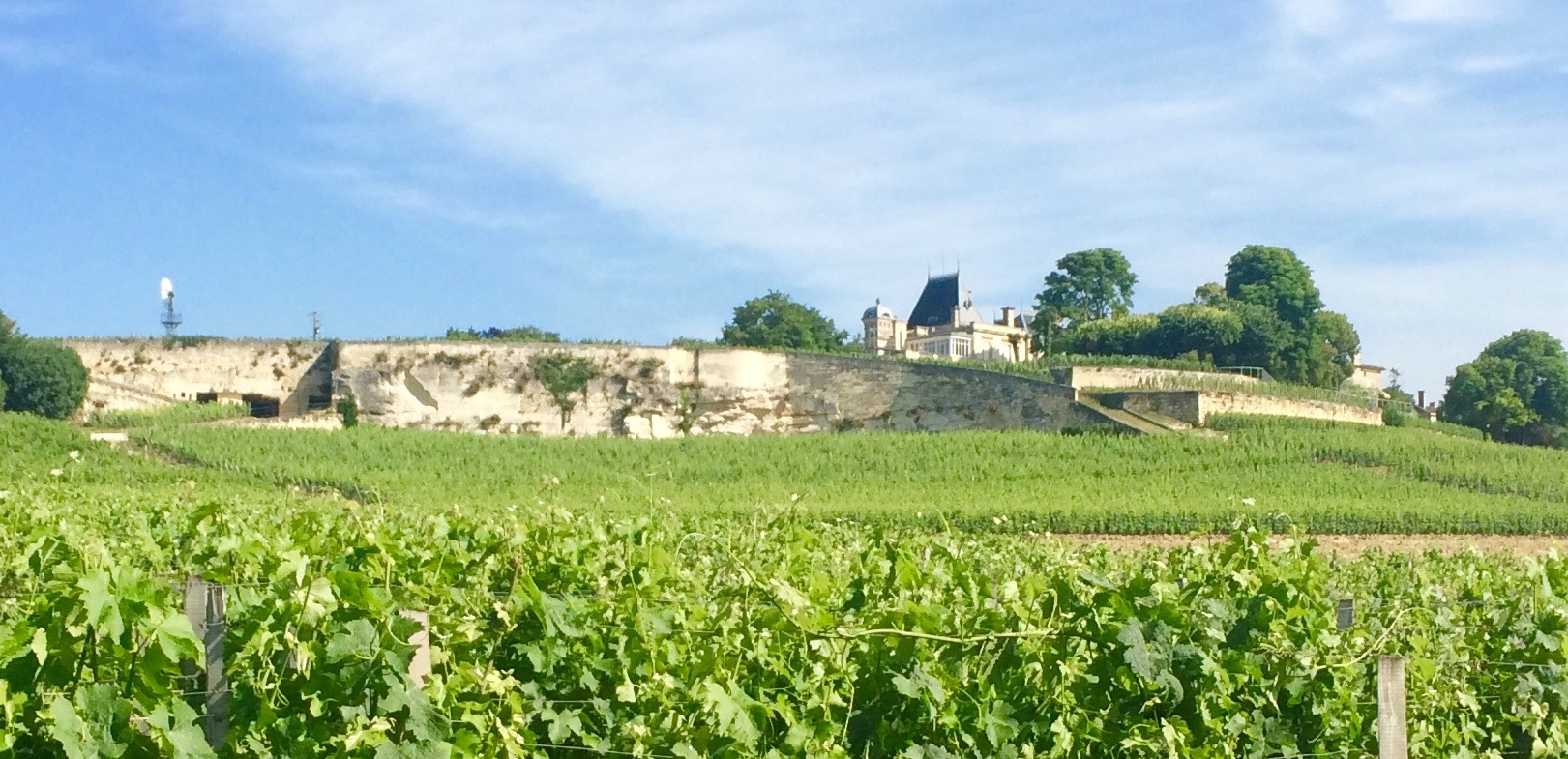 Château Ausone - The granddaddy of all the Saint-Émilion vineyards. Photo by Marla Norman.