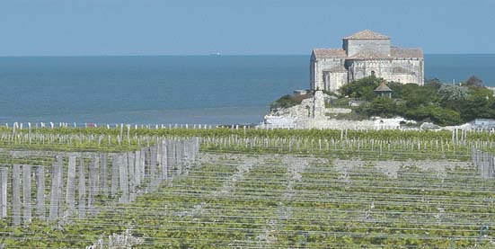 Talmondais Vineyards, a biodynamic property consisting of 25-acres along the ocean. Photo courtesy of Laurie Arrivé.