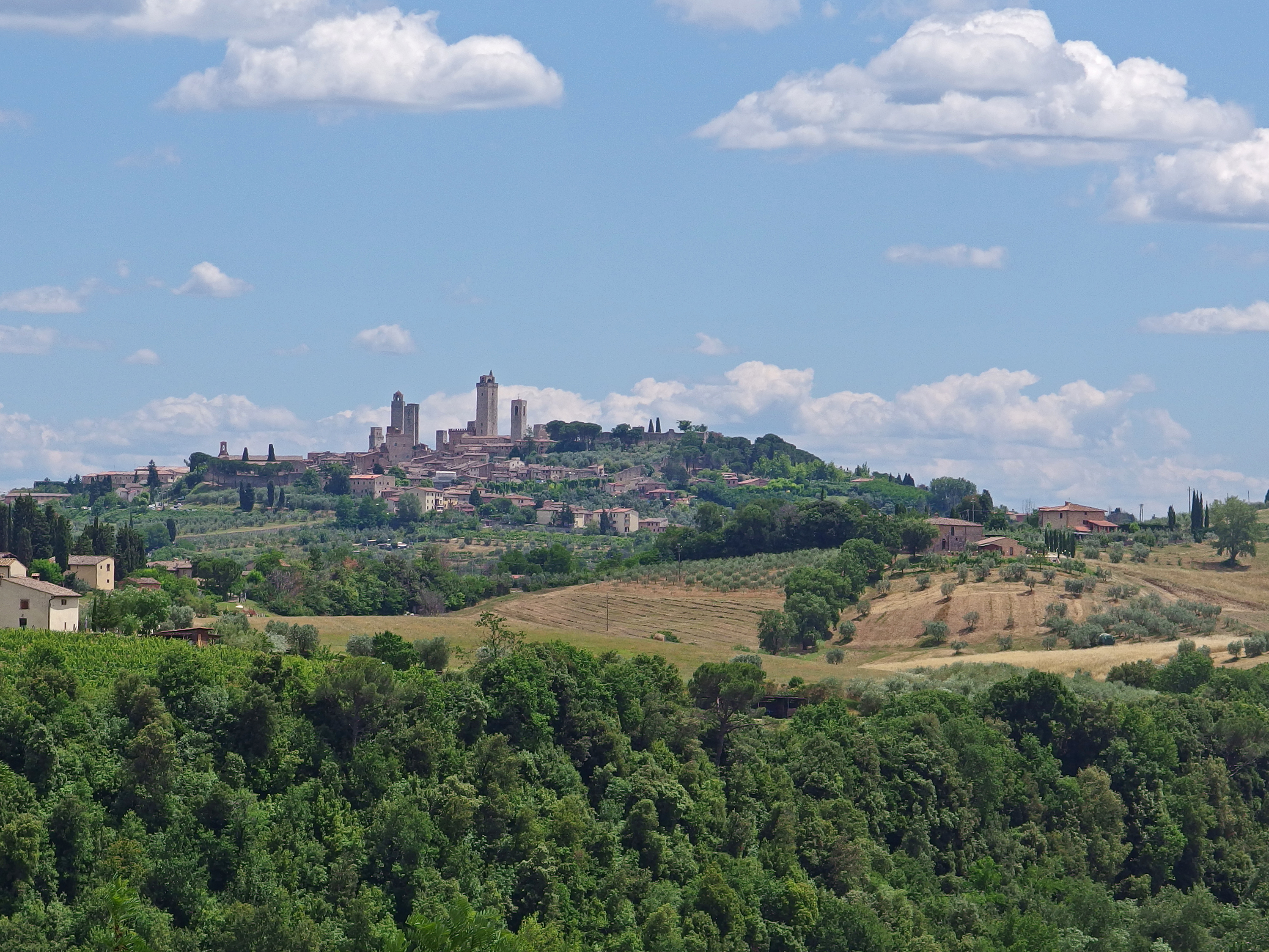 View of San Gimignano from the vineyards of Pietraserena.