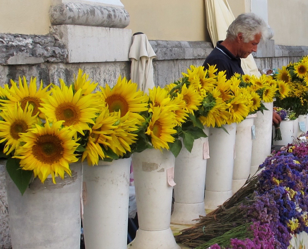 Sunflowers brighten the open-air market at Vodnik Square. 