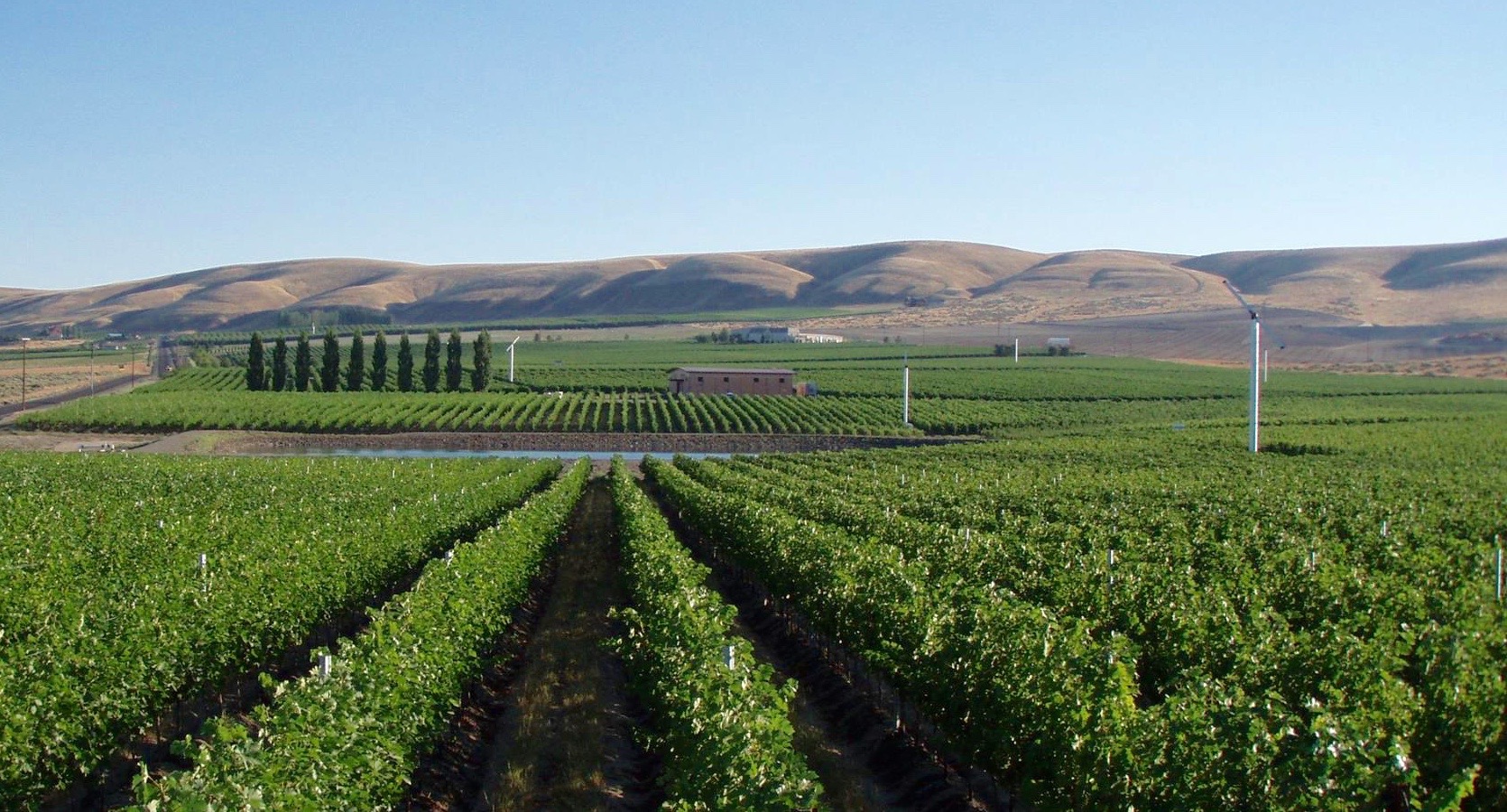 The Quilceda Creek vineyards - Champoux, Golitzine and Palengat - are located in Washington’s great agricultural region between the Yakima and Walla Walla Valleys. Photo courtesy of Quilceda Creek Vintners.