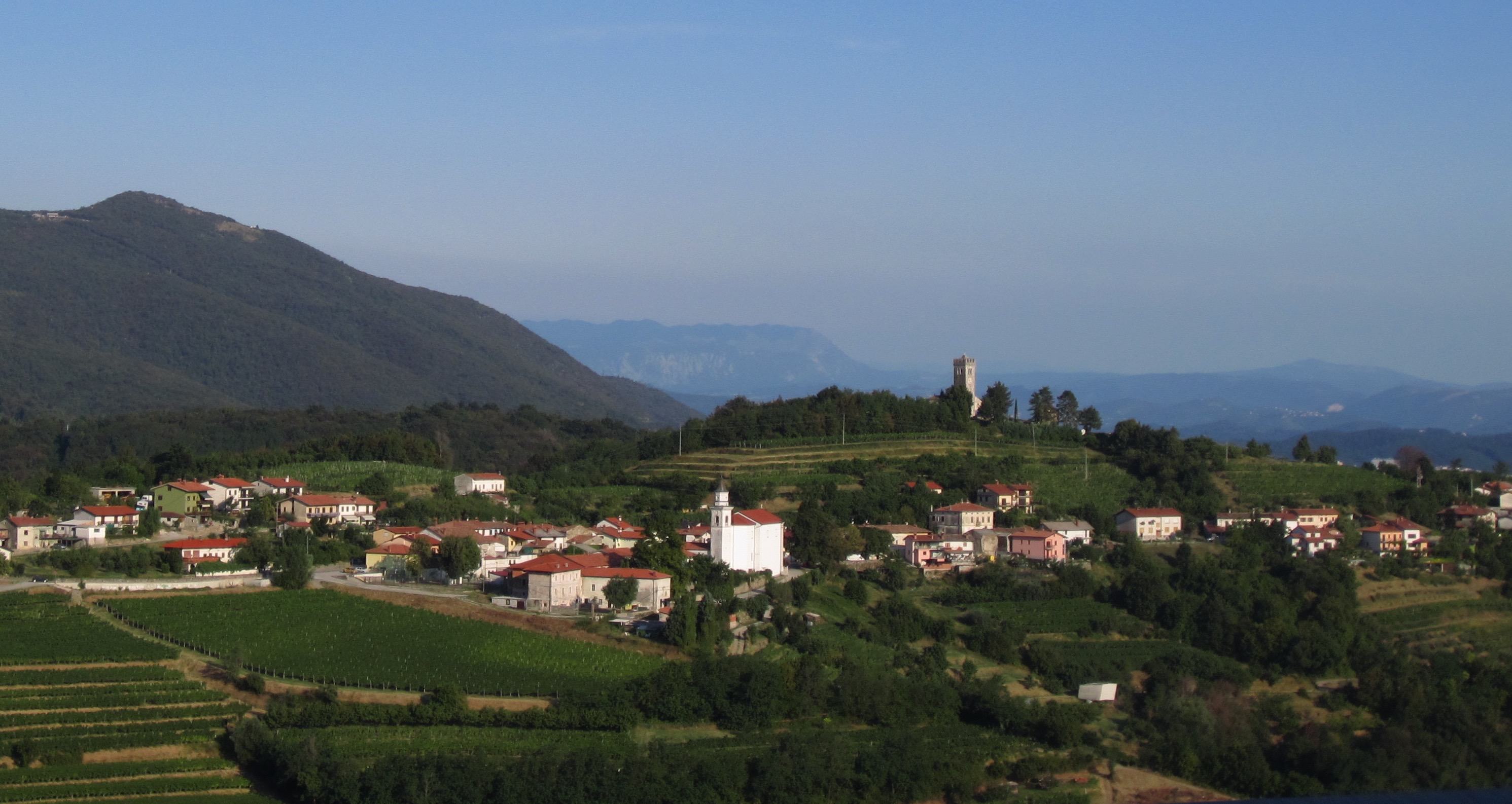 Goriška Brda, Slovenia. Photo courtesy of Blue Danube Wine Co.