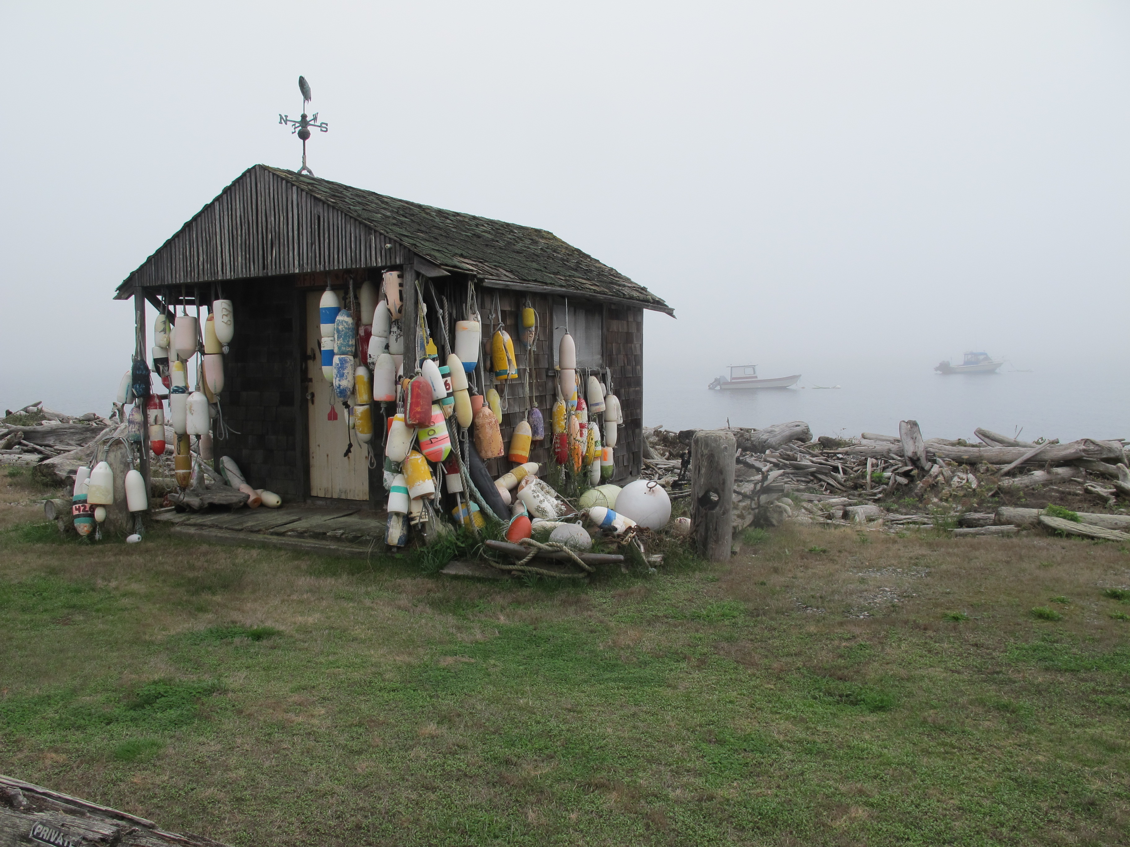 Lummi Island feels otherworldly - half dream, half reality in heavy fog. Photo by Marla Norman.